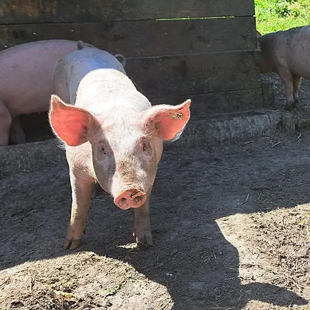 Unterblasbichl * Fusch an der Glocknerstraße
