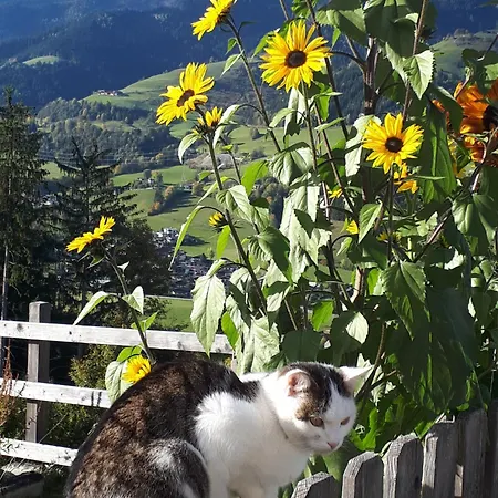 Unterblasbichl *