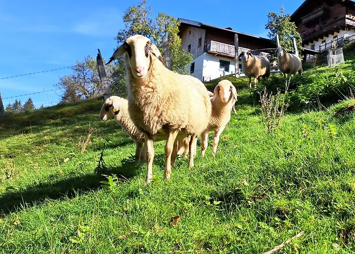 Unterblasbichl *