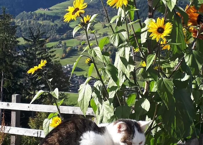 Unterblasbichl *